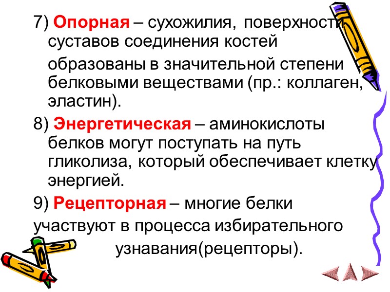 7) Опорная – сухожилия, поверхности суставов соединения костей     образованы в